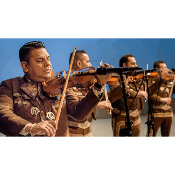 Mariachi Los Camperos